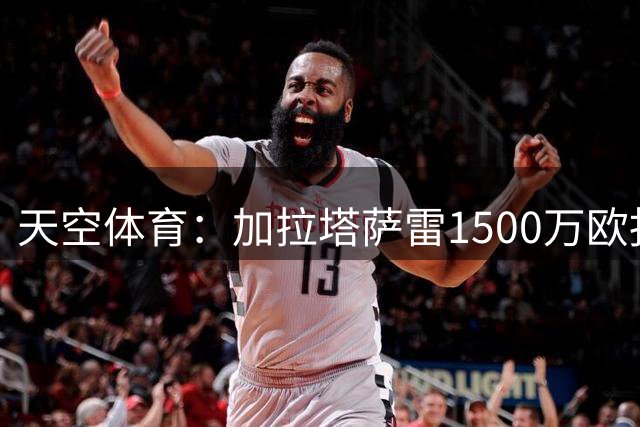 天空体育：加拉塔萨雷1500万欧报价德米罗维奇